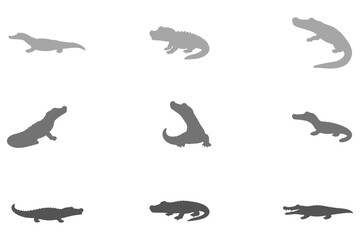 Simple Caiman Illustration