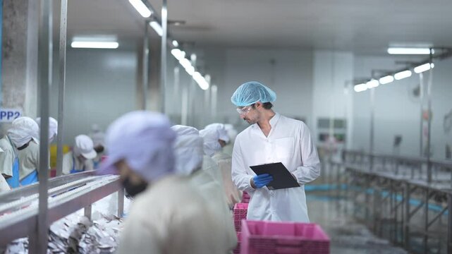 Worker inspecting a fresh fish in seafood production plant of food safety precision and quality assurance in modern manufacturing. Inspector reviewing seafood processing activities facility.