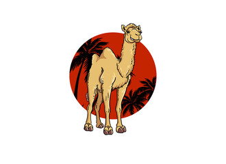 Camel cartoon