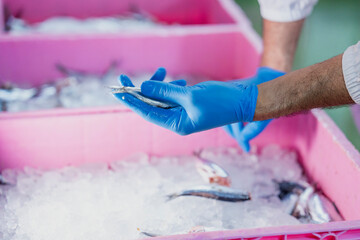 Industrial scientist inspector ensuring food quality in a clean facility Focus on safety food hygiene and quality control processes.