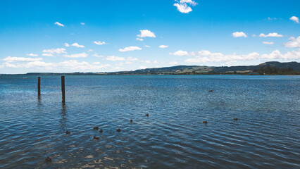 Rotorua lake beautiful sunny clear day blue sky green grass calm still architecture tourism 