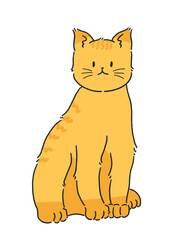 Obraz premium 노란줄무늬 고양이