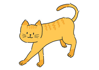 노란줄무늬 고양이