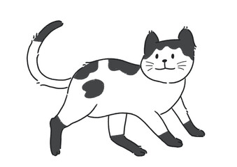 검은 점박이 고양이