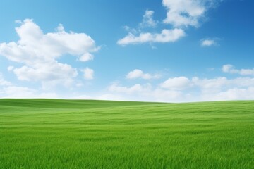 Fototapeta premium Serene green field under sky