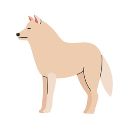 Arctic wolf icon clipart avatar logotype isolated illustration