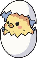 Cute chick on the egg shell illustration