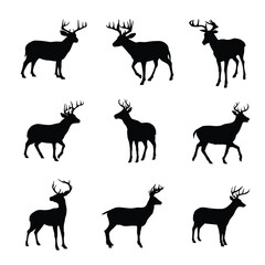 The silhouette of a deer