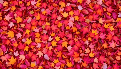 Fototapeta premium A vibrant autumn background pattern showcasing a colorful carpet of fallen forest leaves in rich reds, oranges, and yellows