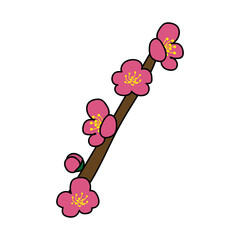 枝付きの梅の花1