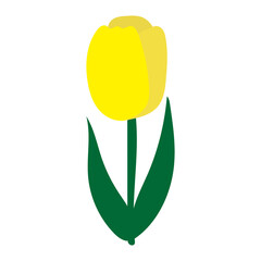 黄色いチューリップの花2