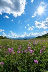 Obraz premium Stunning mountain meadow in summer with wildflowers in bloom