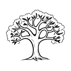 Oak tree icon, vector, outline, silhouette, illustration, coloring page design, isolated on white background