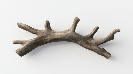 Fototapeta premium Dried Branch on a White Background