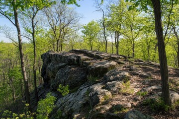 A rocky outcrop in the woods: a sunny day in May