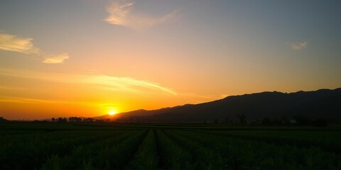Fototapeta premium Green sustainable farm with lush crops growing in the foreground, a majestic mountain silhouette in the background, and a vibrant sunset sky overhead, sunset sky, rural, silhouette