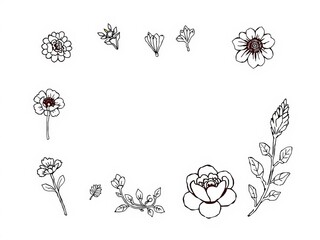 Fototapeta premium Minimal botanical graphic sketch featuring trendy tiny floral elements in a line art drawing design vector illustration, elements, vector illustration, sketch