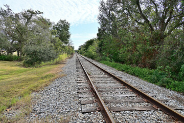 Fototapeta premium Railroad Tracks Flanked by Trees and Gravel Bed