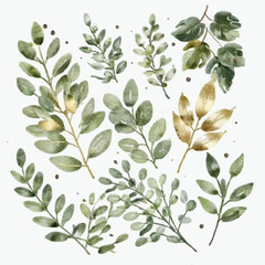 Watercolor floral illustration set - green & gold leaf branches collection, for wedding stationary, greetings, wallpapers, fashion, background. Eucalyptus, olive, green leaves, etc.