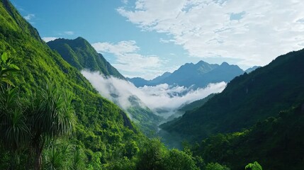 Naklejka premium Misty Mountain Valley Landscape