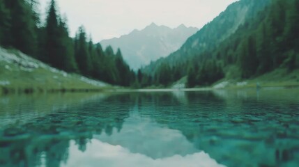 Serene Mountain Lake with Reflections of Fir Trees and Majestic Peaks in Background