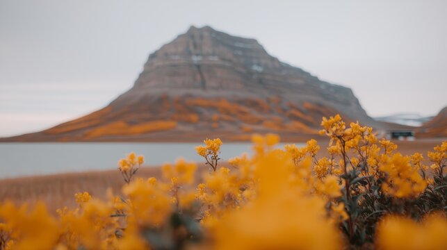 Serene Mountscape with Bright Yellow Flowers and Majestic Fir Trees in Background