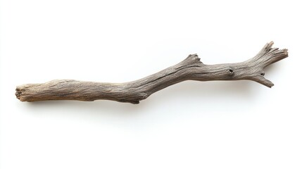 Single Driftwood Branch Against a White Background