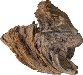 Dry branch tree naturally.