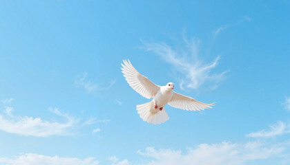 Fototapeta premium Flying white dove against blue sky