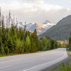 asphalt road highway with snow capped mountains among green forest during summer