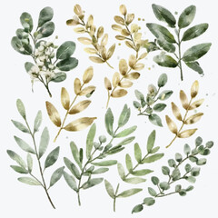 Naklejka premium Watercolor floral illustration set - green & gold leaf branches collection, for wedding stationery, greetings, wallpapers, fashion, and background. Eucalyptus, olive, green leaves, etc.