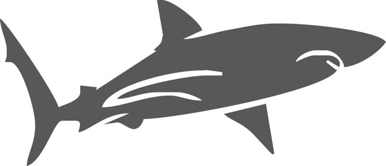 Shark silhouette flat illustration on isolated background