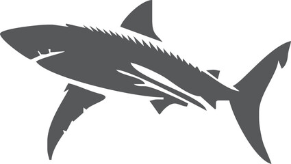 Shark silhouette flat illustration on isolated background