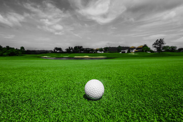 Golf ball on green grass field