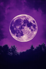 Naklejka premium Luminous Moon and Silhouetted Trees Under a Purple Sky