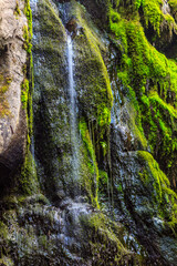 A waterfall with green moss growing on it