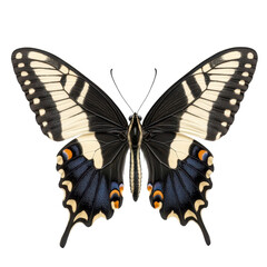 Fototapeta premium A stunning butterfly displaying intricate patterns and vibrant colors in detail. transparent background