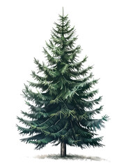 Obraz premium christmas tree isolated on white background 