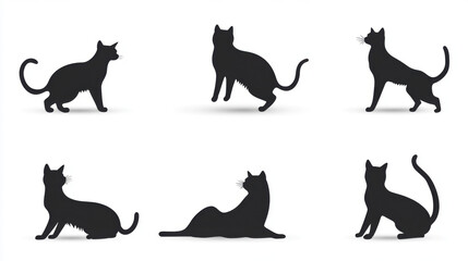 silhouettes of cats playing