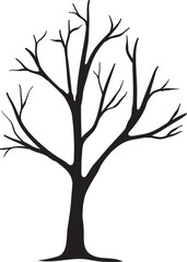 Obraz premium Bare Tree Silhouette Isolated on White Background