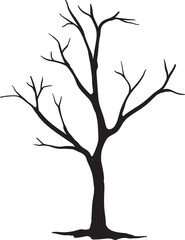 Bare Tree Silhouette Isolated on White Background