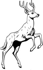 Handdrawn deer drawing 