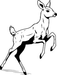Handdrawn deer drawing 