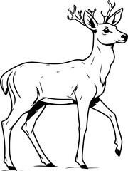 Handdrawn deer drawing 