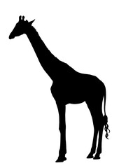 キリンのシルエット