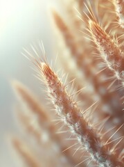 Close-up of a prickly plant with soft, light-brown tips. The plant is bathed in warm, golden light, creating a serene and calming atmosphere.