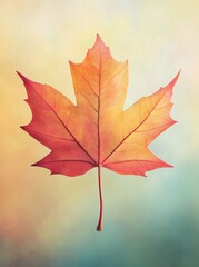 A single red maple leaf against a soft, blurred background.