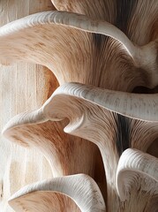 Close-up of oyster mushrooms with intricate textures and creamy hues.