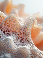 Close-up of a delicate, white, and textured surface with an orange background.