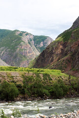Majestic view of Chulyshman River Valley in Altai, featuring rushing mountain river, lush greenery...